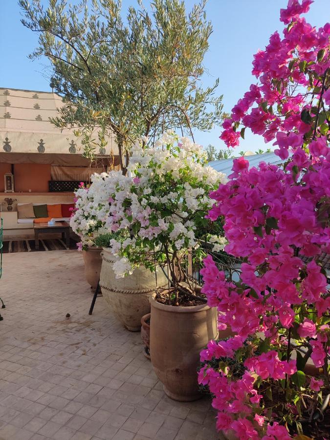 Riad Nirvana Марракеш Экстерьер фото