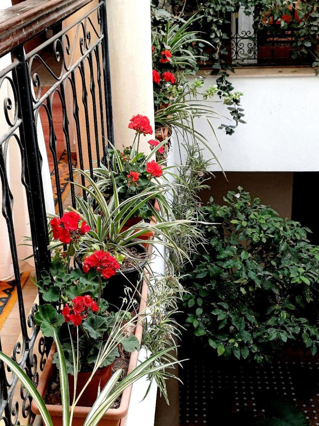 Riad Nirvana Марракеш Экстерьер фото